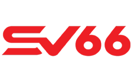 sv66sv.com